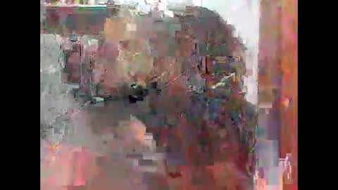 Zatth online show from 02/14/26, 07:49