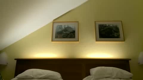 zech2455 online show from 11/19/25, 09:48