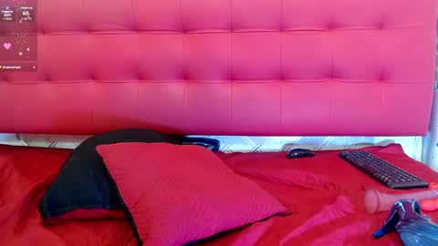 ZHAMIRA  ANDRES online show from 02/19/25, 12:03