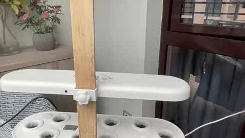 Nensi online show from 04/06/26, 02:40