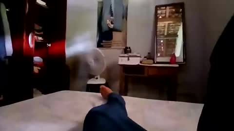 zitojose73 online show from 11/04/25, 05:12