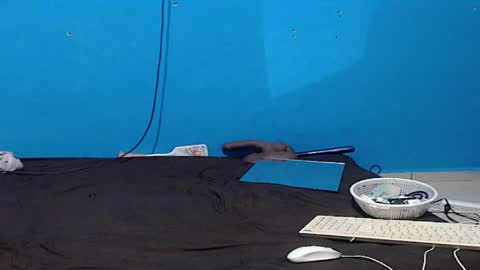 Zoe online show from 04/05/26, 06:16