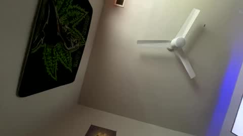 Snapshot of zoel87 chatting on 02/05/25, 02:26 LovelyLatin25 online show from 02/05/25, 02:26