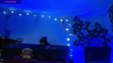 zoemi online show from 01/16/25, 03:34