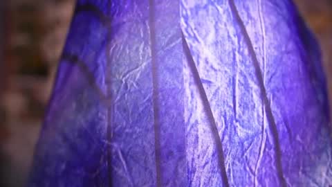 zoey fox  online show from 04/08/26, 11:27