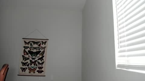 Zoie online show from 04/13/26, 08:58