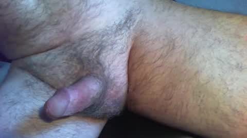 zokalo online show from 02/13/26, 11:50