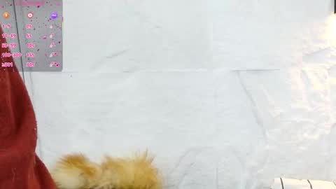 Violeta online show from 12/05/25, 01:20