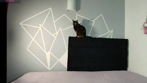 zpzphot online show from 03/25/26, 08:37