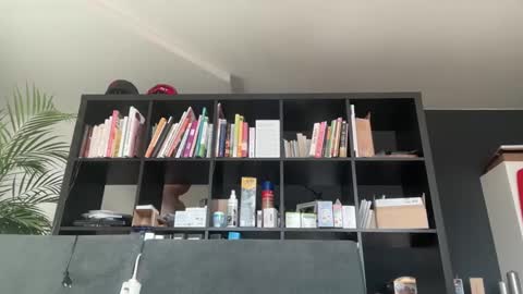 zwickauer1969 online show from 02/27/25, 08:06