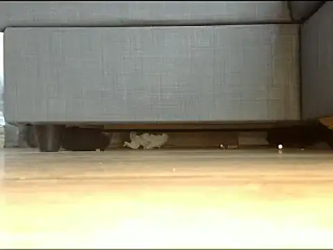 Squirtlady38 online show from 02/13/25, 01:26