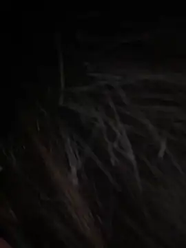 Serena-AU online show from 01/15/26, 03:27