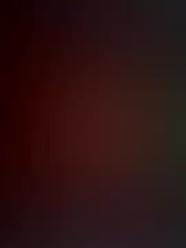 EvaMoet online show from 11/01/25, 09:33