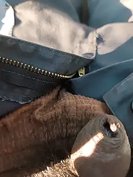 Snapshot of Nishu12356g chatting on 09/20/25, 02:40 Nishu12356g online show from 09/20/25, 02:40