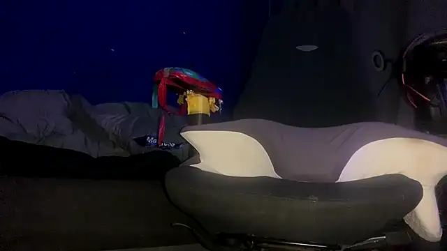 Snapshot of ZandersaSimp chatting on 12/17/25, 05:08 ZandersaSimp online show from 12/17/25, 05:08