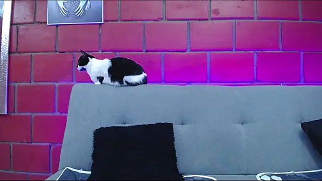 Snapshot of kiara_eyes12 chatting on 02/25/25, 02:14 kiara eyes12 online show from 02/25/25, 02:14