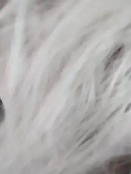 Snapshot of Linda_Gregory chatting on 12/09/24, 07:39 Linda Gregory online show from 12/09/24, 07:39