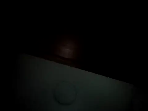 Snapshot of Linda_Gregory chatting on 02/16/25, 04:31 Linda Gregory online show from 02/16/25, 04:31