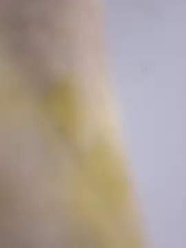 Mane leet online show from 01/14/26, 01:50