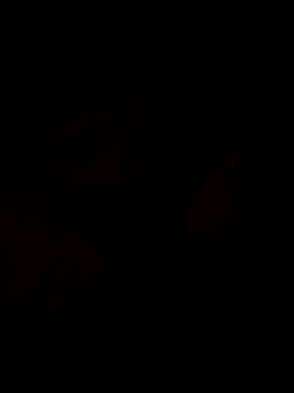 Snapshot of Sanny212 chatting on 12/09/24, 12:40 Sanny212 online show from 12/09/24, 12:40