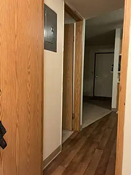 Snapshot of BustiBunny69 chatting on 12/22/24, 03:11 BustiBunny69 online show from 12/22/24, 03:11