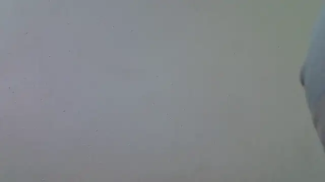 AddictiveAssCurves online show from 03/18/26, 08:39