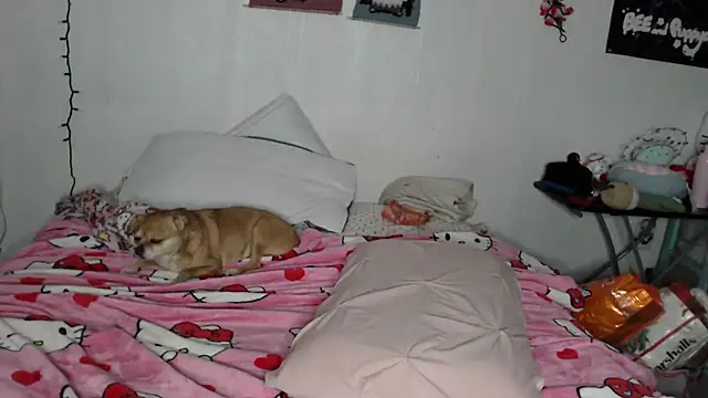 Cupcakecutie449 online show from 02/28/26, 04:19