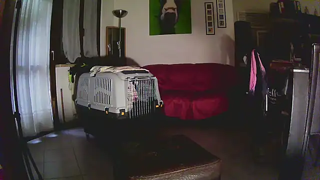 Snapshot of Sabrina-Palermo chatting on 01/06/26, 12:31 Sabrina-Palermo online show from 01/06/26, 12:31