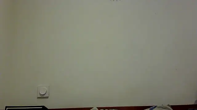 feline27 online show from 10/28/25, 09:17