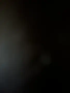 Snapshot of Yurt000 chatting on 02/03/25, 07:29 Yurt000 online show from 02/03/25, 07:29