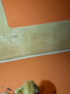 Snapshot of ducicsajsziii chatting on 12/09/24, 11:03 ducicsajsziii online show from 12/09/24, 11:03