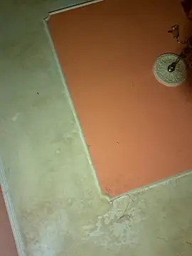 Snapshot of ducicsajsziii chatting on 03/17/25, 10:38 ducicsajsziii online show from 03/17/25, 10:38