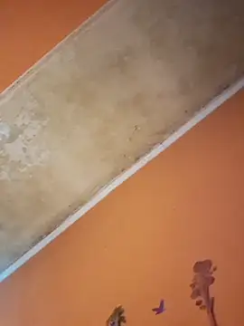 ducicsajsziii online show from 12/19/25, 12:45