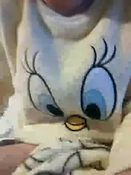 Snapshot of bruna_safadinhaa chatting on 12/30/24, 08:04 bruna safadinhaa online show from 12/30/24, 08:04