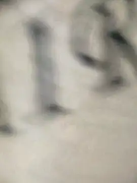 Snapshot of bruna_safadinhaa chatting on 02/10/25, 11:46 bruna safadinhaa online show from 02/10/25, 11:46