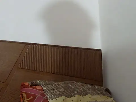 Snapshot of shekira99 chatting on 09/13/25, 12:27 shekira99 online show from 09/13/25, 12:27