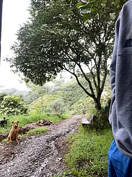 Snapshot of vergasgrandes chatting on 01/05/25, 09:14 vergasgrandes online show from 01/05/25, 09:14