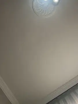 Soylu95 online show from 01/17/26, 11:04