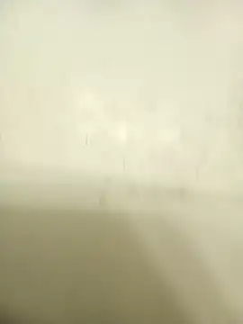 Masternasty online show from 11/25/25, 06:46