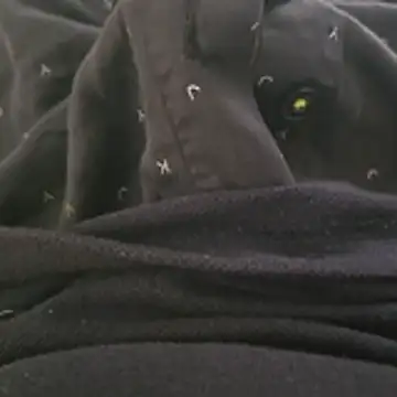 surfer fun29 online show from 12/02/25, 05:35