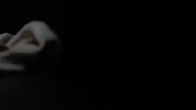 Snapshot of VARGAcz chatting on 02/04/26, 01:50 VARGAcz online show from 02/04/26, 01:50