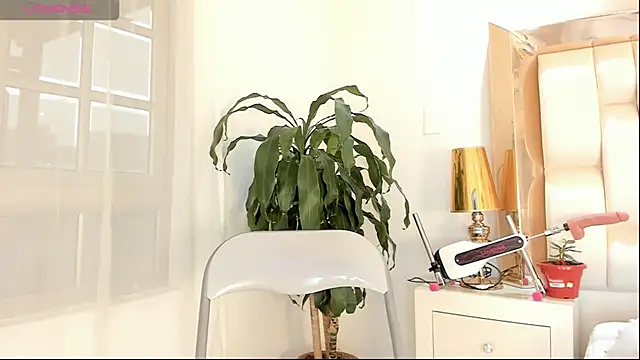 alana-then online show from 02/08/25, 08:42