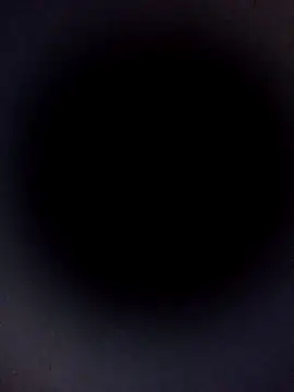 Carlabrasileira online show from 11/09/25, 04:11