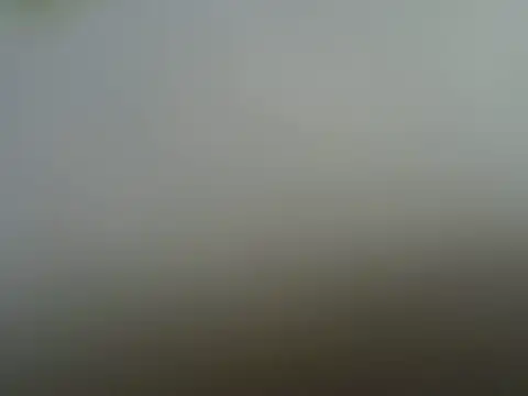 Sonnia  online show from 03/30/26, 11:17