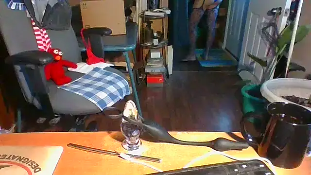 Snapshot of Daremeknot chatting on 12/16/24, 01:54 Daremeknot online show from 12/16/24, 01:54