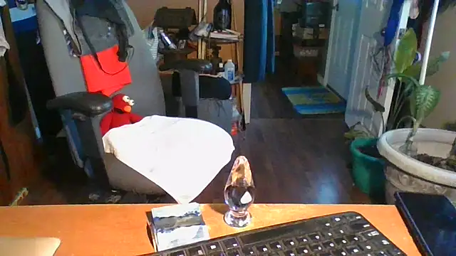 Snapshot of Daremeknot chatting on 12/31/24, 02:25 Daremeknot online show from 12/31/24, 02:25