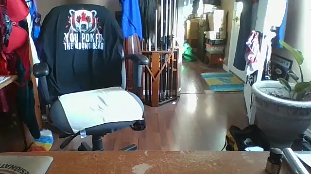 Snapshot of Daremeknot chatting on 11/01/25, 02:41 Daremeknot online show from 11/01/25, 02:41