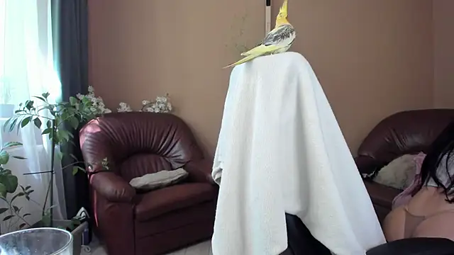 KaylaLaine online show from 05/13/26, 07:06
