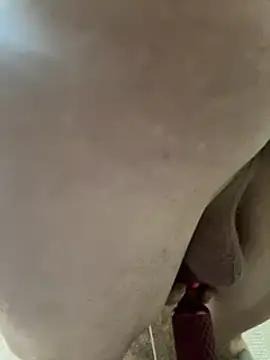 Snapshot of Followthepiper chatting on 02/03/25, 11:20 Followthepiper online show from 02/03/25, 11:20