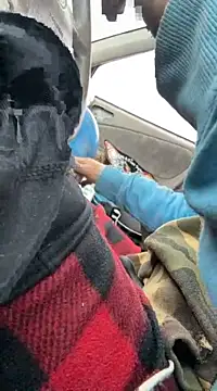 Snapshot of Followthepiper chatting on 03/22/25, 03:42 Followthepiper online show from 03/22/25, 03:42